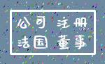公司 注册_法国 董事