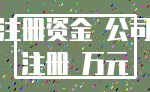 注册资金 公司_注册 万元