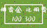 注册资金 注册资本_100 300