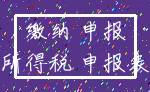 缴纳 申报_所得税 申报表