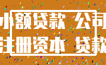 小额贷款 公司_注册资本 贷款