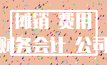 摊销 费用_财务会计 公司