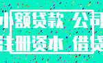 小额贷款 公司_注册资本 借贷