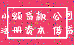 小额贷款 公司_注册资本 借贷