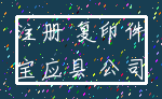 注册 复印件_宝应县 公司