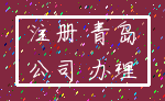 注册 青岛_公司 办理