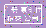 注册 复印件_提交 公司