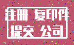 注册 复印件_提交 公司