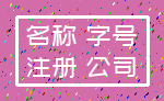 名称 字号_注册 公司