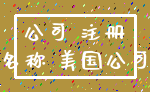 公司 注册_名称 美国公司