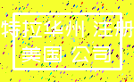 特拉华州 注册_美国 公司
