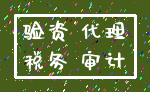 验资 代理_税务 审计