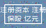 注册资本 注册_保险 亿元