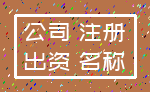 公司 注册_出资 名称