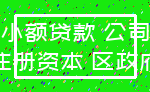 小额贷款 公司_注册资本 区政府