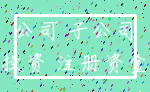 公司 子公司_投资 注册资金