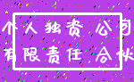 个人独资 公司_有限责任 合伙