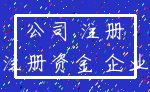 公司 注册_注册资金 企业
