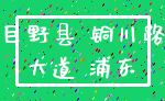 巨野县 铜川路_大道 浦东