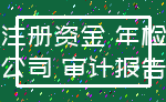 注册资金 年检_公司 审计报告