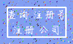 查询 注册号_注册 公司