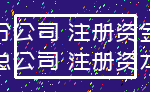 分公司 注册资金_总公司 注册资本