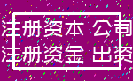 注册资本 公司_注册资金 出资