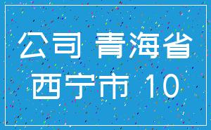 公司 青海省_西宁市 10