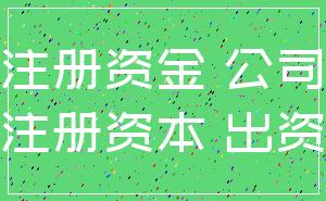 注册资金 公司_注册资本 出资