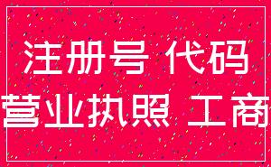 注册号 代码_营业执照 工商