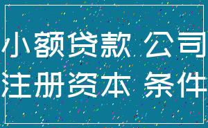 小额贷款 公司_注册资本 条件