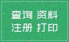 公司注册登记资料查询单