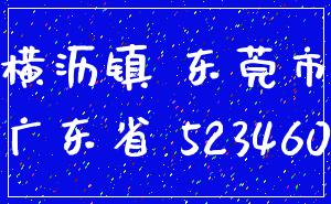 横沥镇 东莞市_广东省 523460