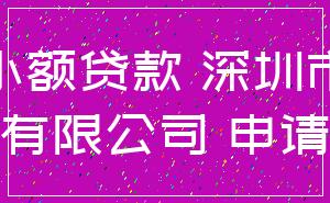 小额贷款 深圳市_有限公司 申请