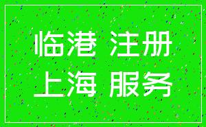 临港 注册_上海 服务