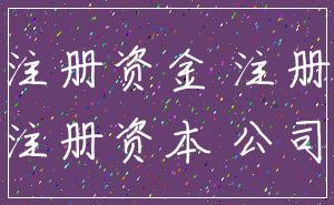 注册资金 注册_注册资本 公司