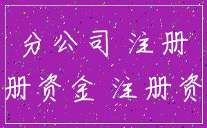 分公司 注册_注册资金 注册资本