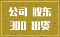 注册300万是公司吗