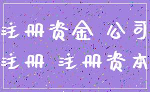 注册资金 公司_注册 注册资本