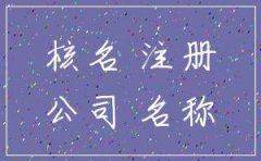 广州注册公司怎么核名