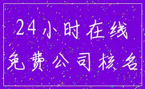 24小时在线_免费公司核名