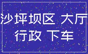沙坪坝区 大厅_行政 下车