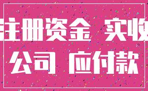 注册资金 实收_公司 应付款