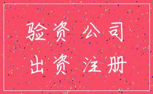 验资 公司_出资 注册