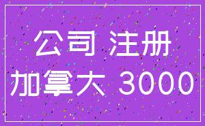 公司 注册_加拿大 3000