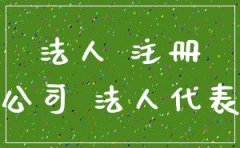 公司法人注册一个类似公司可以吗