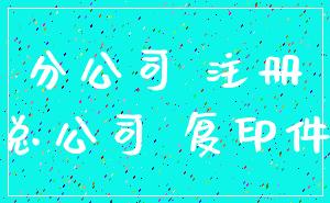 分公司 注册_总公司 复印件