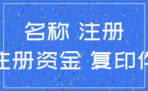 名称 注册_注册资金 复印件