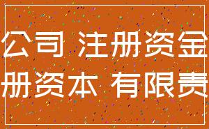 公司 注册资金_注册资本 有限责任