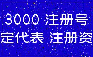 3000 注册号_法定代表 注册资本